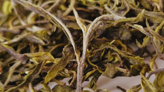 Té argentino con identidad misionera: reconocimiento internacional y proyección global
