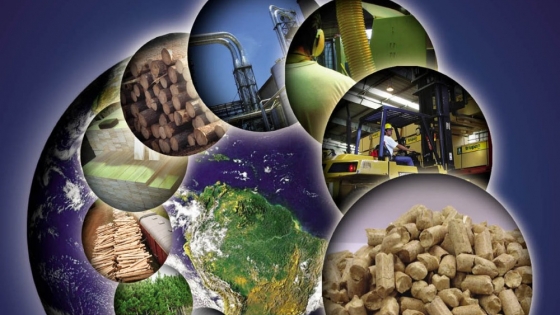 Exportaciones foresto-industriales: el impulso del valor agregado llevó el crecimiento al 18% en 2025