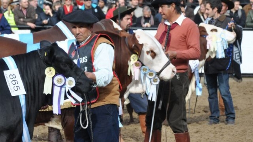 En Palermo, las razas Brahman, Braford y Brangus son el exponente de la genética bovina que se produce en el norte argentino