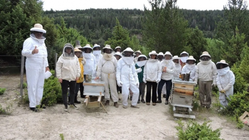 Apicultores se capacitaron en el manejo de colmenas y reinas