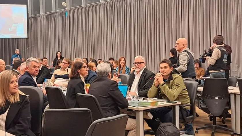Yerbateros piden a los legisladores que se frene la importación masiva de yerba mate