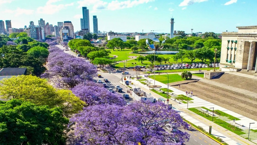 Video y fotogalería: la Ciudad florece con sus jacarandás