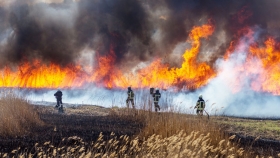 Incendios forestales: intenso trabajo coordinado para sofocar el fuego en el parque nacional Calilegua