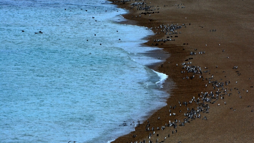 Parque Nacional Monte León, un refugio natural para la biodiversidad