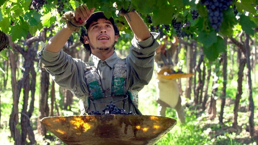 Los trabajadores de la fruta cerraron acuerdo salarial con suba del 212%