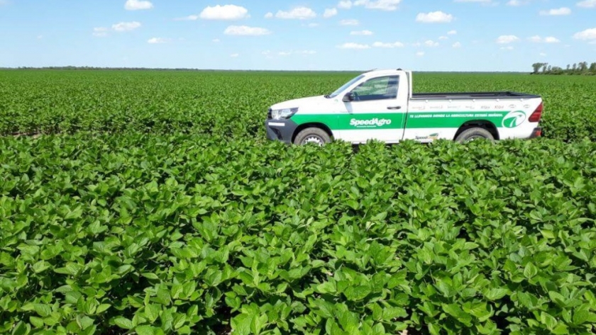 Una inversión agroindustrial traerá una oportunidad histórica para la arveja amarilla