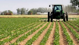 "La agricultura es el eje de recuperación del país": Villalobos