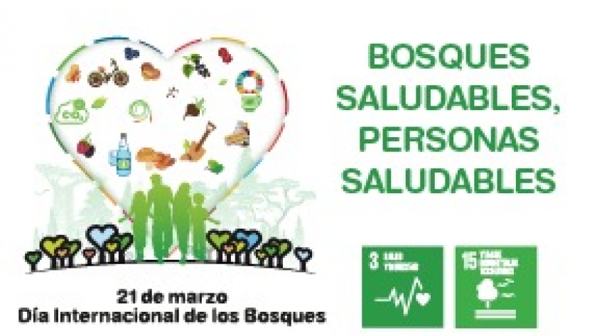 Transmisión global por el Día Internacional de los Bosques, sobre política, ciencia y gestión para asegurar la salud ambiental y de las personas