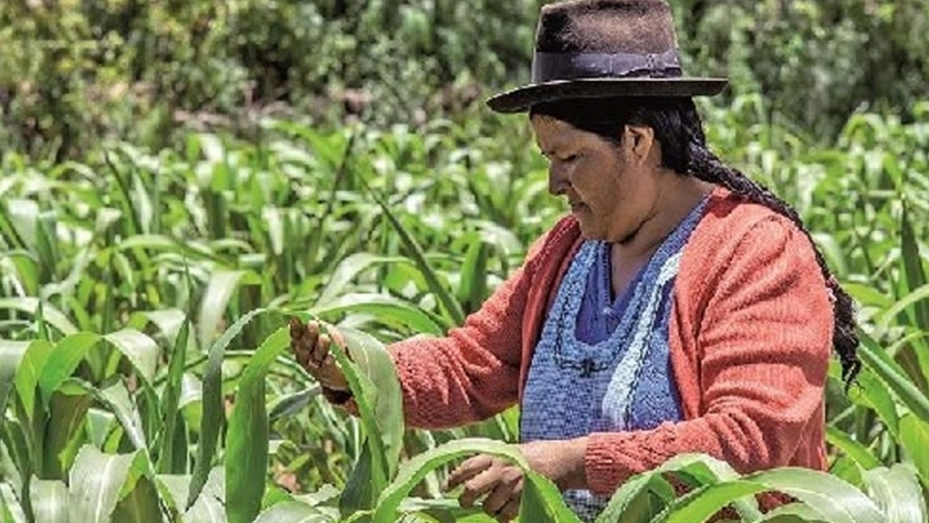 En busca de puentes tecnológicos entre agricultura familiar y ciudad
