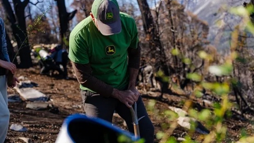 John Deere busca plantar un millón de árboles en Latinoamérica: se sumó el apoyo de Abel Pintos y ya plantaron 28.500 en Argentina