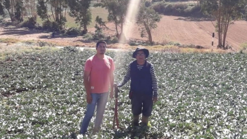 UNMSM: diseñan sistema que automatiza riego de cultivos para prevenir heladas