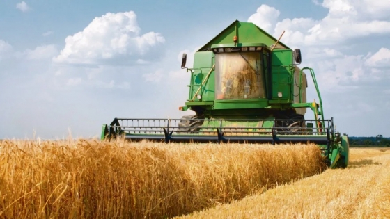 Trigo 2025/26: Argentina se encamina a una campaña histórica con rindes récord y proyecciones inéditas