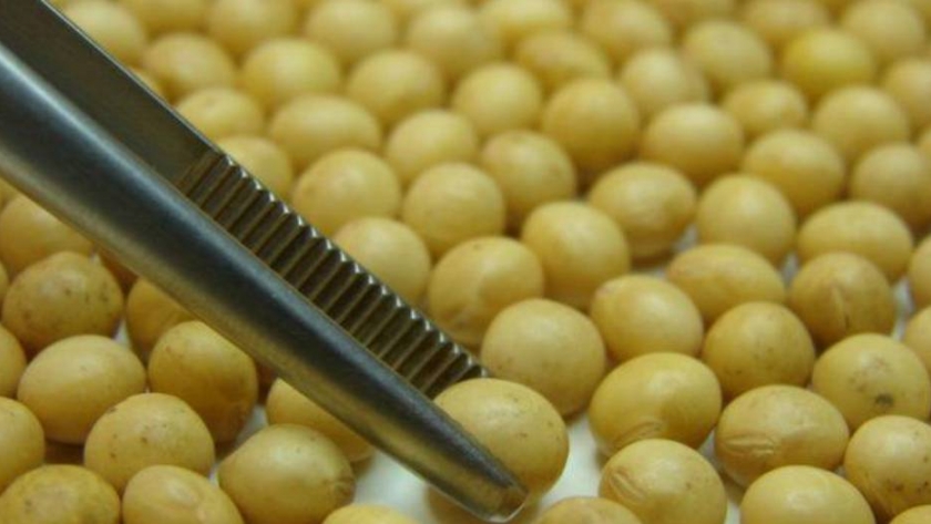 Bioceres celebra la aprobación de la soja transgénica de una firma aliada china