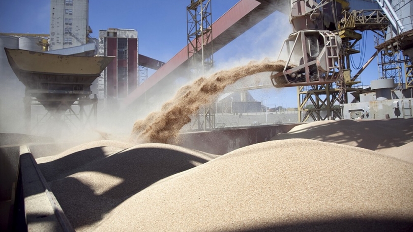 La liquidación de divisas por parte de la agroexportación alcanzó en junio los US$ 1.581 millones