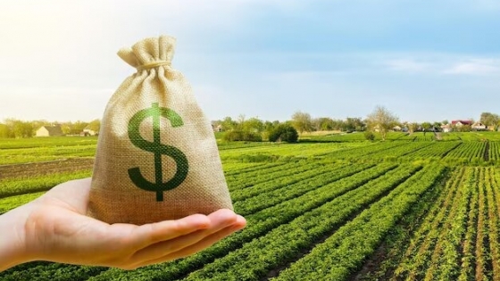 <Enfrentando los desafíos financieros en la agricultura