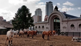 “Inconstitucionalidad”: la denuncia de la Sociedad Rural se tramitará en Buenos Aires