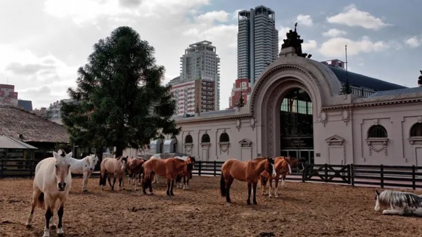 “Inconstitucionalidad”: la denuncia de la Sociedad Rural se tramitará en Buenos Aires