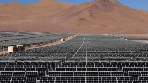 Energías renovables: la ventana estratégica que Argentina busca aprovechar para redefinir su matriz energética