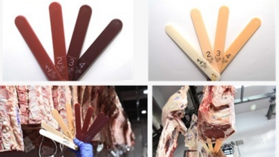 El Gobierno actualiza el sistema de tipificación de la carne vacuna para fortalecer la competitividad del sector