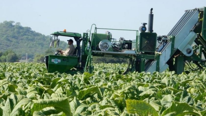 Capacitación del Renatre en mecanización en tabaco en Cerrillos y Campo Santo