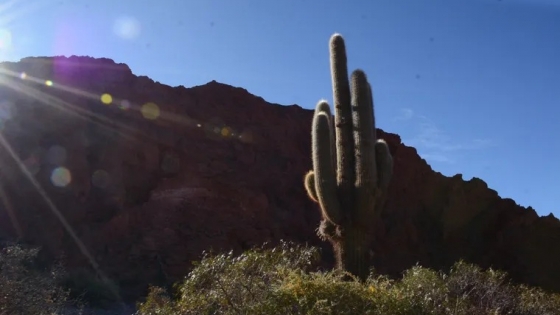 La Quebrada de las Señoritas: leyenda, trekking y tesoro escondido en Jujuy