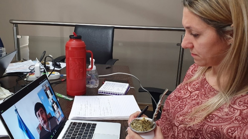 La ministra Benilda Dammer mantuvo una reunión por videoconferencia con el ministro Daniel Arroyo