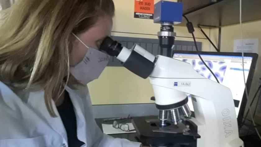 Investigación sobre contaminación por plásticos en recursos marinos comerciales
