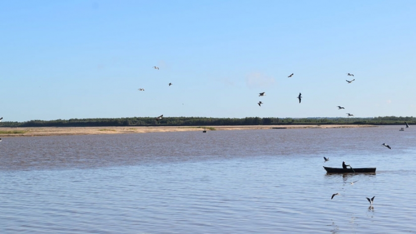 Reducen un 50 por ciento el cupo de extracción y acopio de peces en la provincia