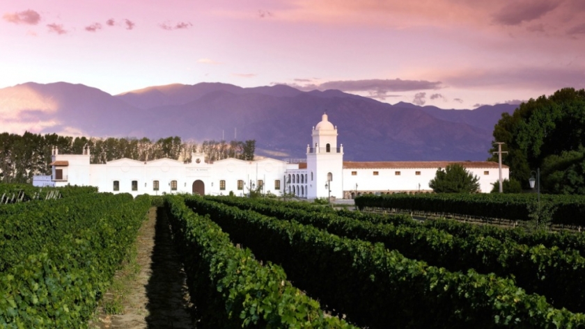 Salta tiene plan de exportación para sus vinos