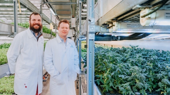 Phytoform and Corteva join forces to boost corn disease resistance using AI-powered gene editing