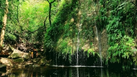 La Calera combina naturaleza, desarrollo y una apuesta por la transparencia