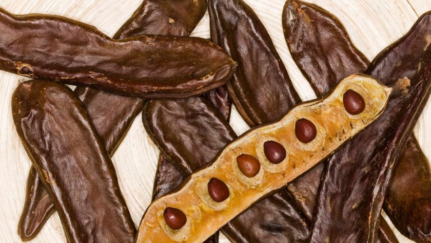 Algarroba, ¿un candidato con opciones para sustituir al chocolate?