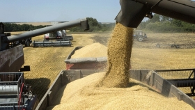 “No queremos que el comercio de trigo suceda de manera no regulada o que ocurra un acaparamiento”