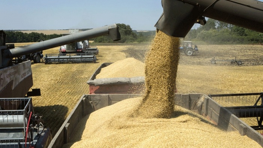 No queremos que el comercio de trigo suceda de manera no regulada o que  ocurra un acaparamiento” | Agroempresario.com