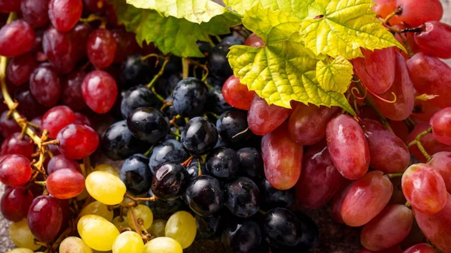 Chile enfrenta una baja del 7% en sus exportaciones de uvas de mesa por la sustitución de variedades tradicionales