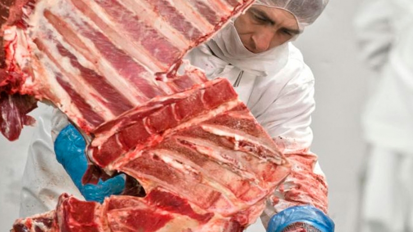 El blockchain llegó a la cadena de la carne bovina
