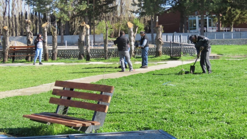 Provincia realizó entrega de plantas y capacitación en Cushamen
