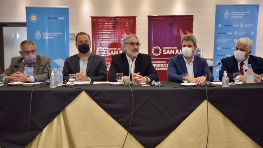 En San Juan, avanzaron en el desarrollo del Plan Ganadero Nacional