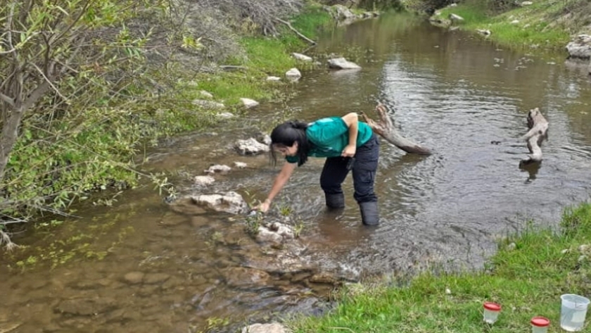 El Gobierno provincial realiza un monitoreo ambiental del río Conlara