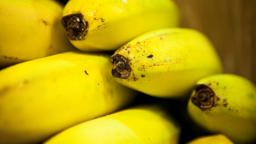 Los productores de banana deben inscribirse obligatoriamente en el Renspa
