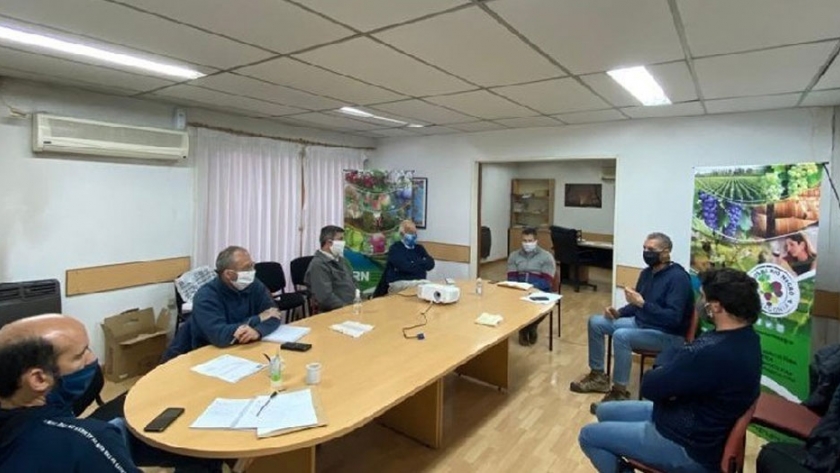 La Provincia analiza junto al INTA capacitar sobre poda a trabajadores rionegrinos