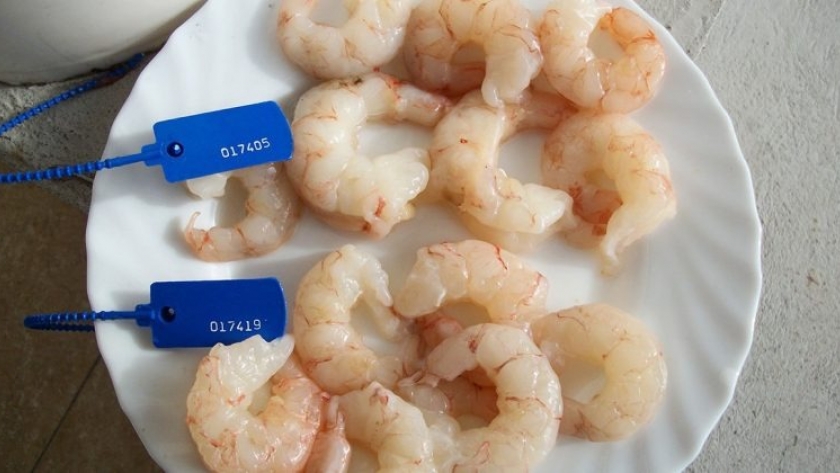 Avanzada en aditivos para reprocesado de pescados y mariscos