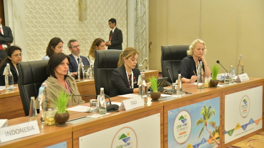 G20 de Energía: Royon abordó la transición energética ante sus pares en la India