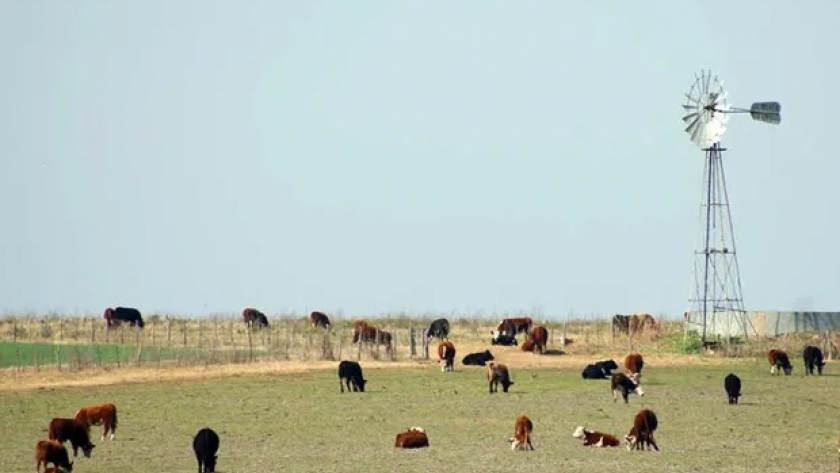 Productores entrerrianos reiteraron el pedido de declaración de la emergencia agropecuaria por sequía