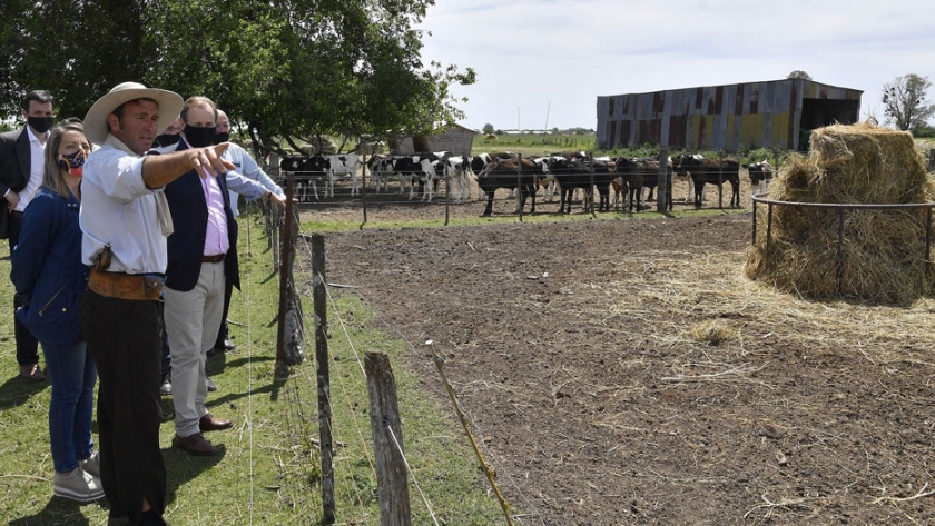 La provincia invertirá casi 50 millones de pesos para mejorar la competitividad de la cadena láctea