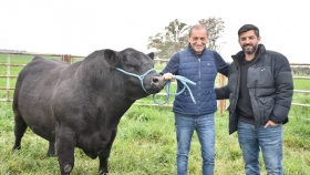 Del fútbol al campo: Ramón Díaz logró un histórico premio Angus