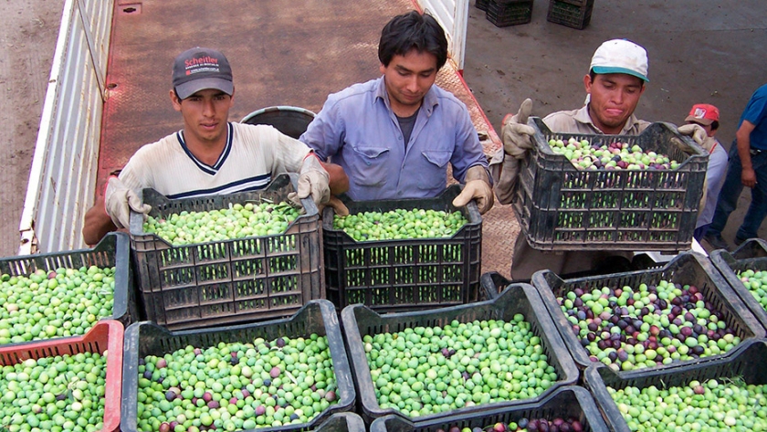 Aprueban proyectos por 25 millones de pesos para familias productoras de Catamarca