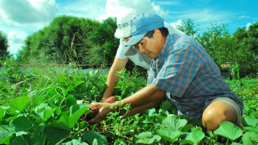 Agricultura destina más de $ 32 millones en proyectos para el sector hortícola agroecológico bonaerense