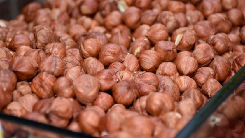 Nuez de nogal, un alimento de valor que llega al mundo