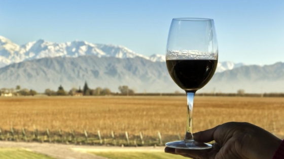 Se consolida la recuperación de los despachos de vinos al mercado interno